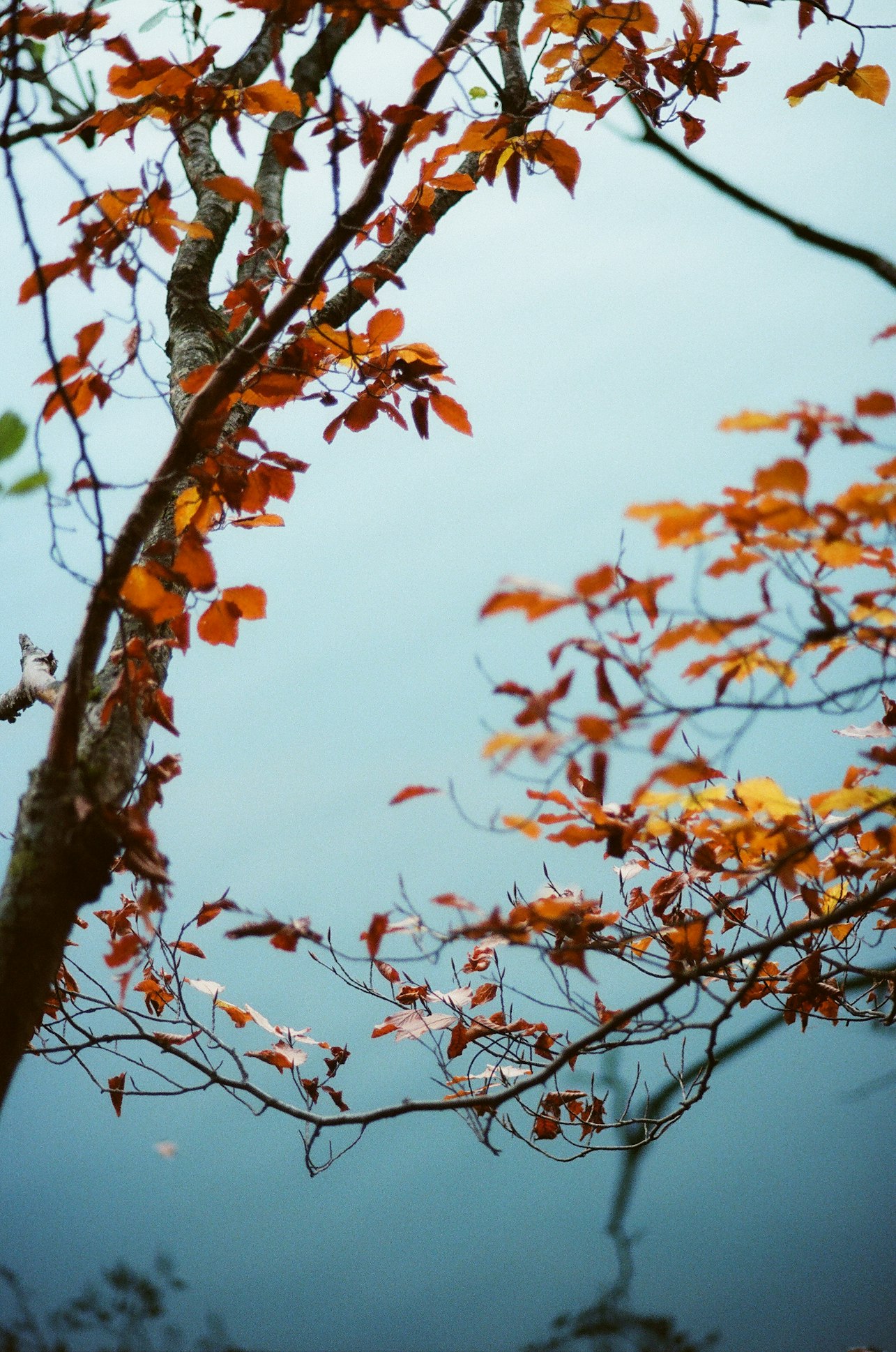 Lenovo's smarter devices stoke professional passions 