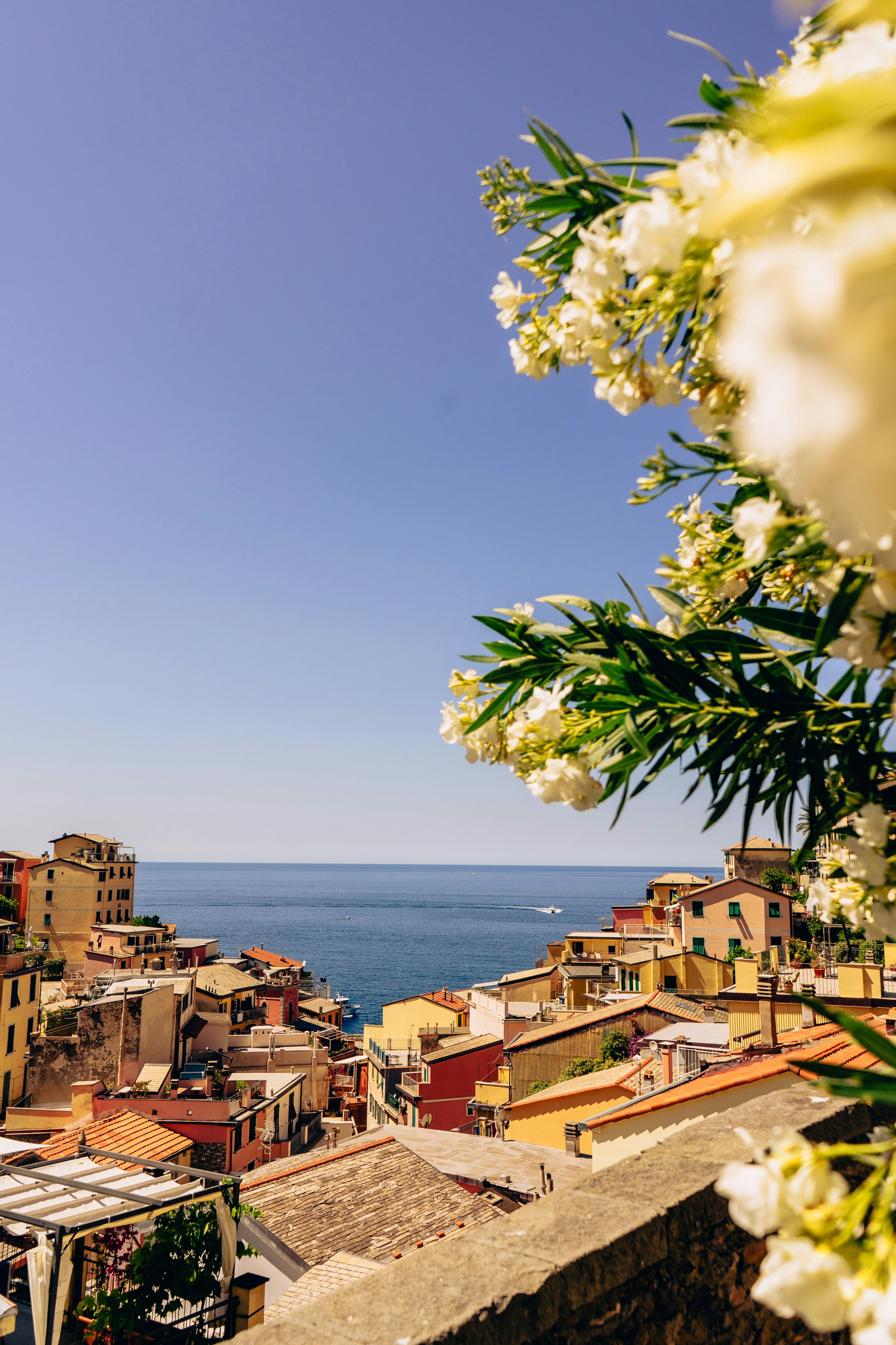 Ancient Civilizations: Lost Cities Revealed