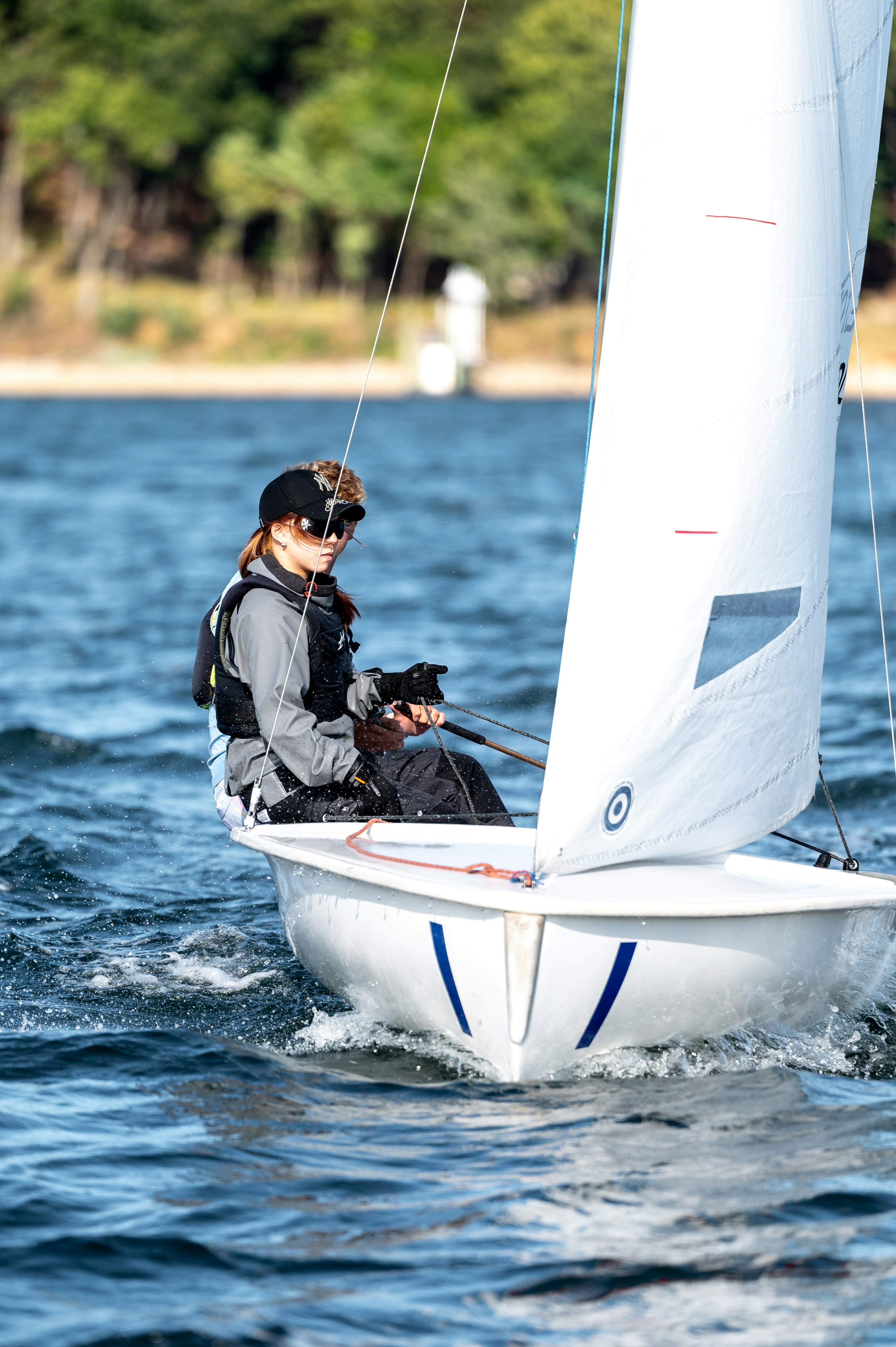 Wildlife Wonders: Nature's Hidden Treasures